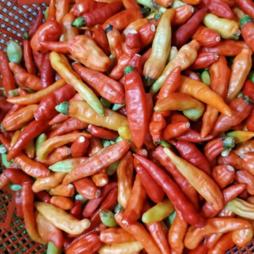 cabe rawit 1kg, cabai rawit 1kg, cabe rawit merah 1kg, cabai rawit merah, cabe rawit hijau, cabai ra