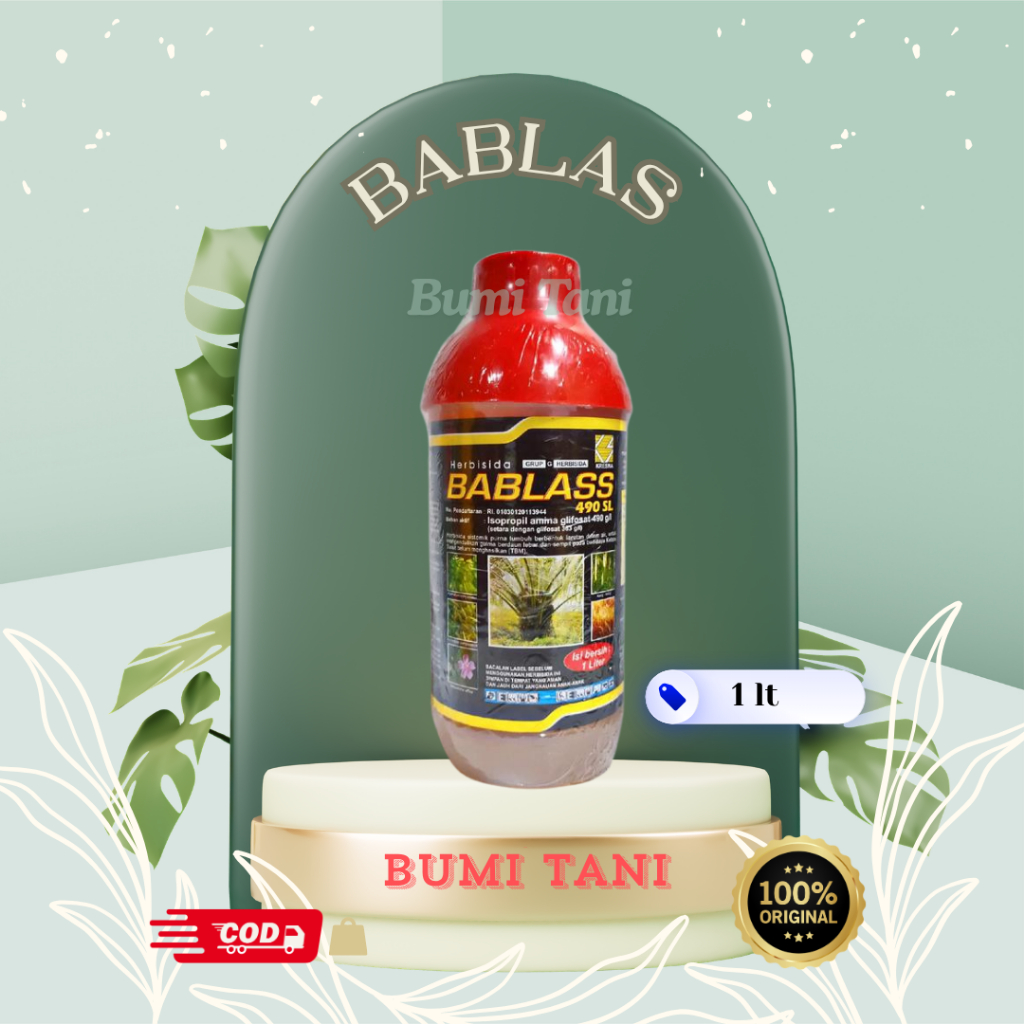BABLASS 1L