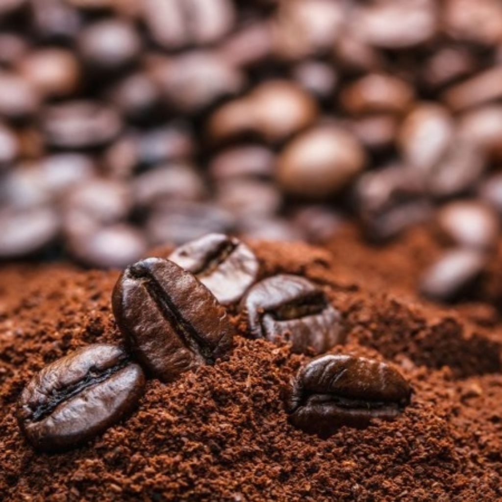 BIJI KOPI ARABIKA SUMATERA LAMPUNG BERKUALITAS ARABICA COFFEE SUMATRA LAMPUNG