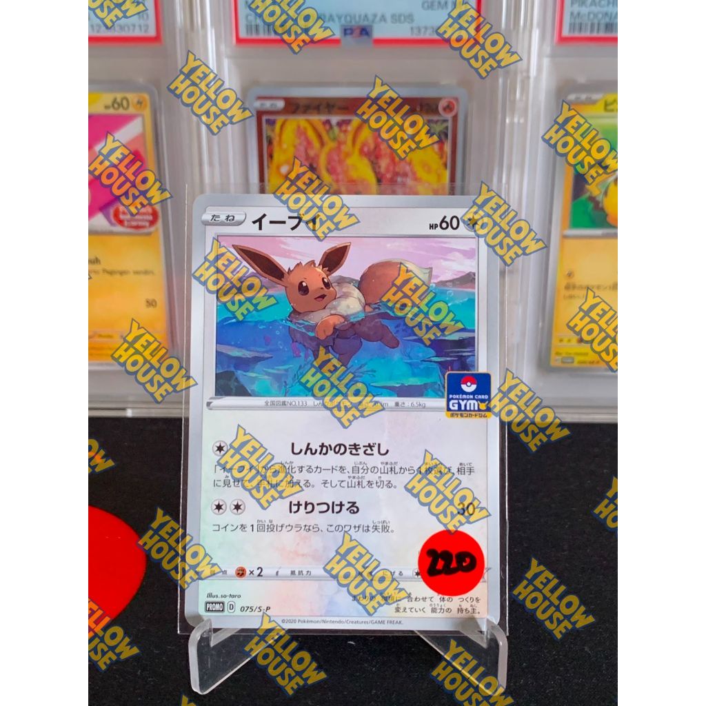 Promo Eevee Gym Pokemon Japanese 075/S-P