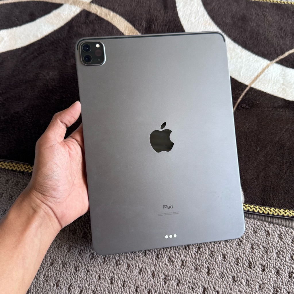 iPad Pro 2020 256gb 11inch Wifi Only Eks Inter Mulus