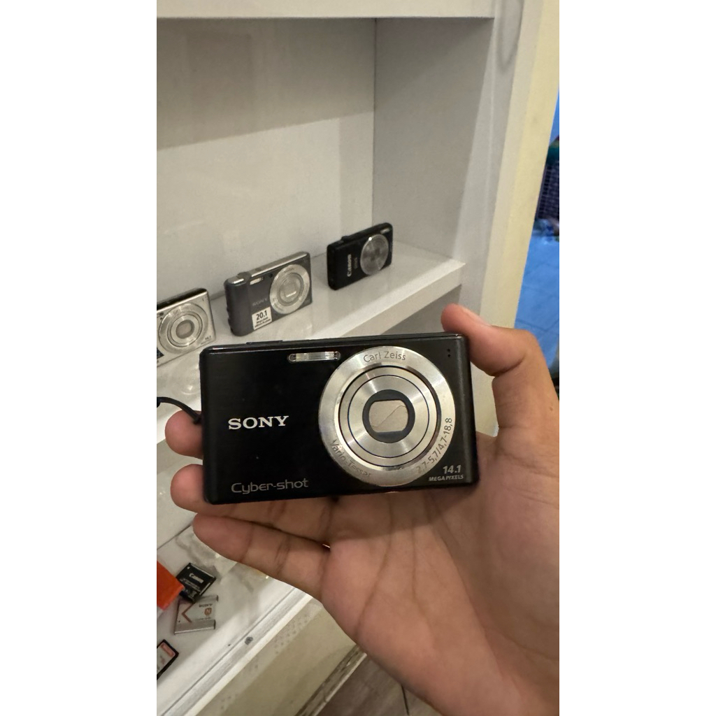 SONY W530