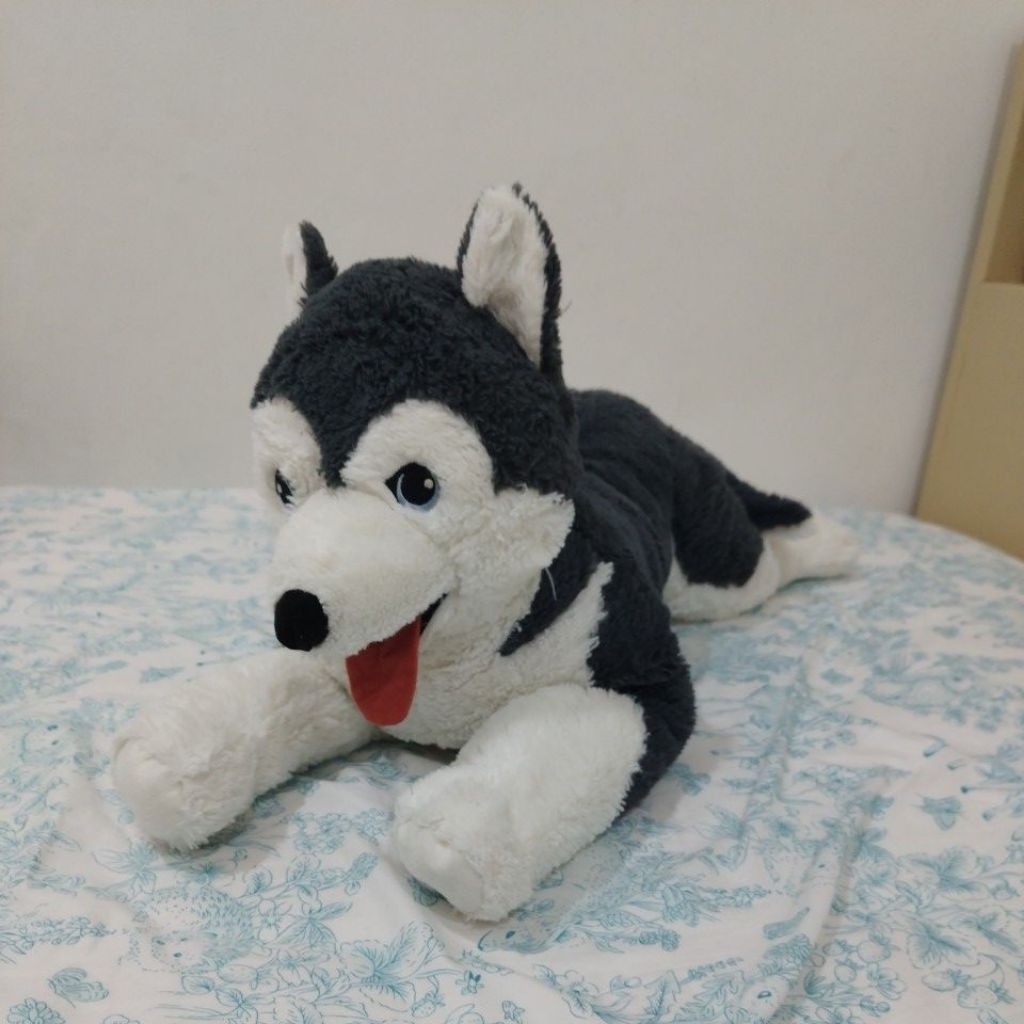 Boneka Anjing Doggy Husky Besar, Empuk Dan Lembut