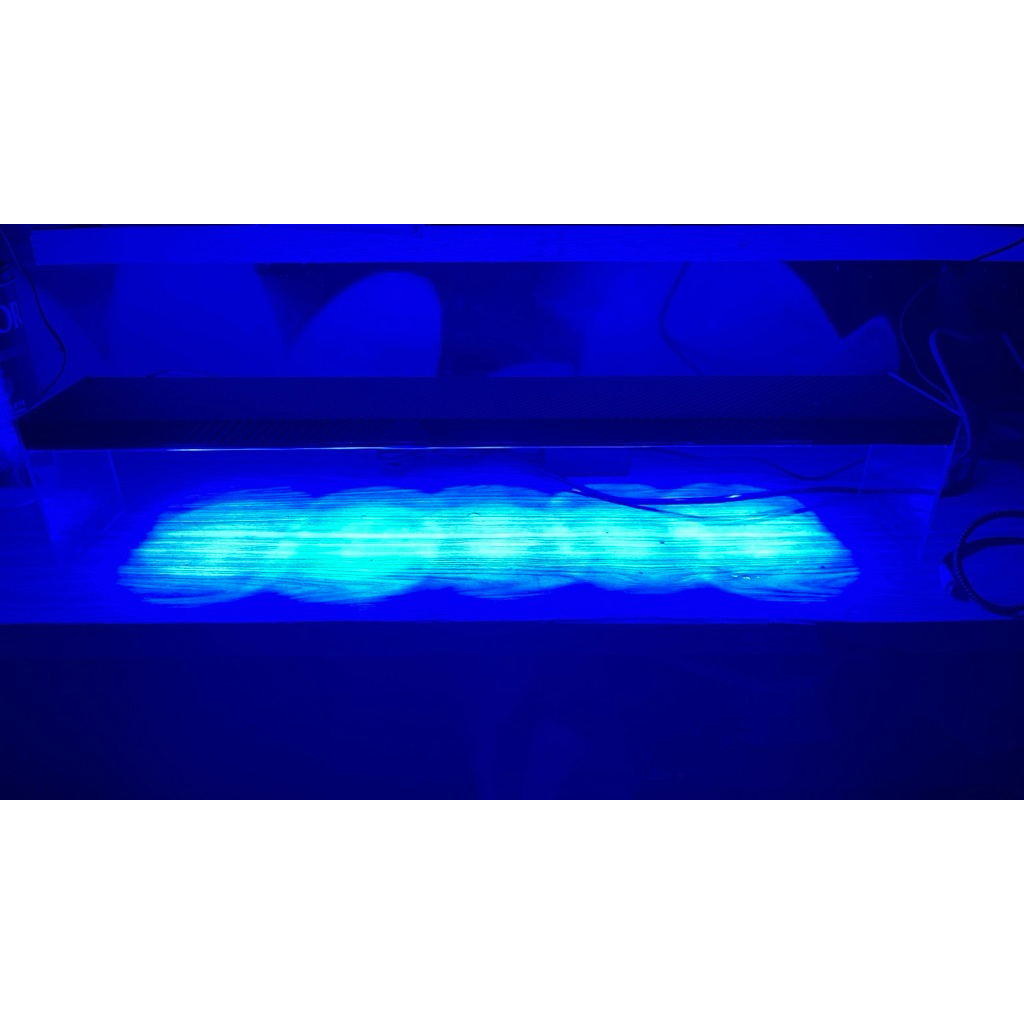 Lampu aquarium air laut