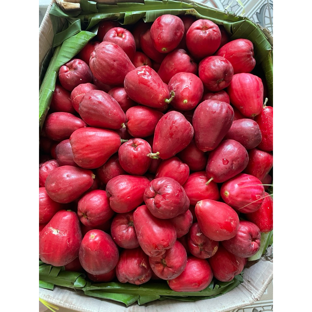 jambu jamaika 1kg
