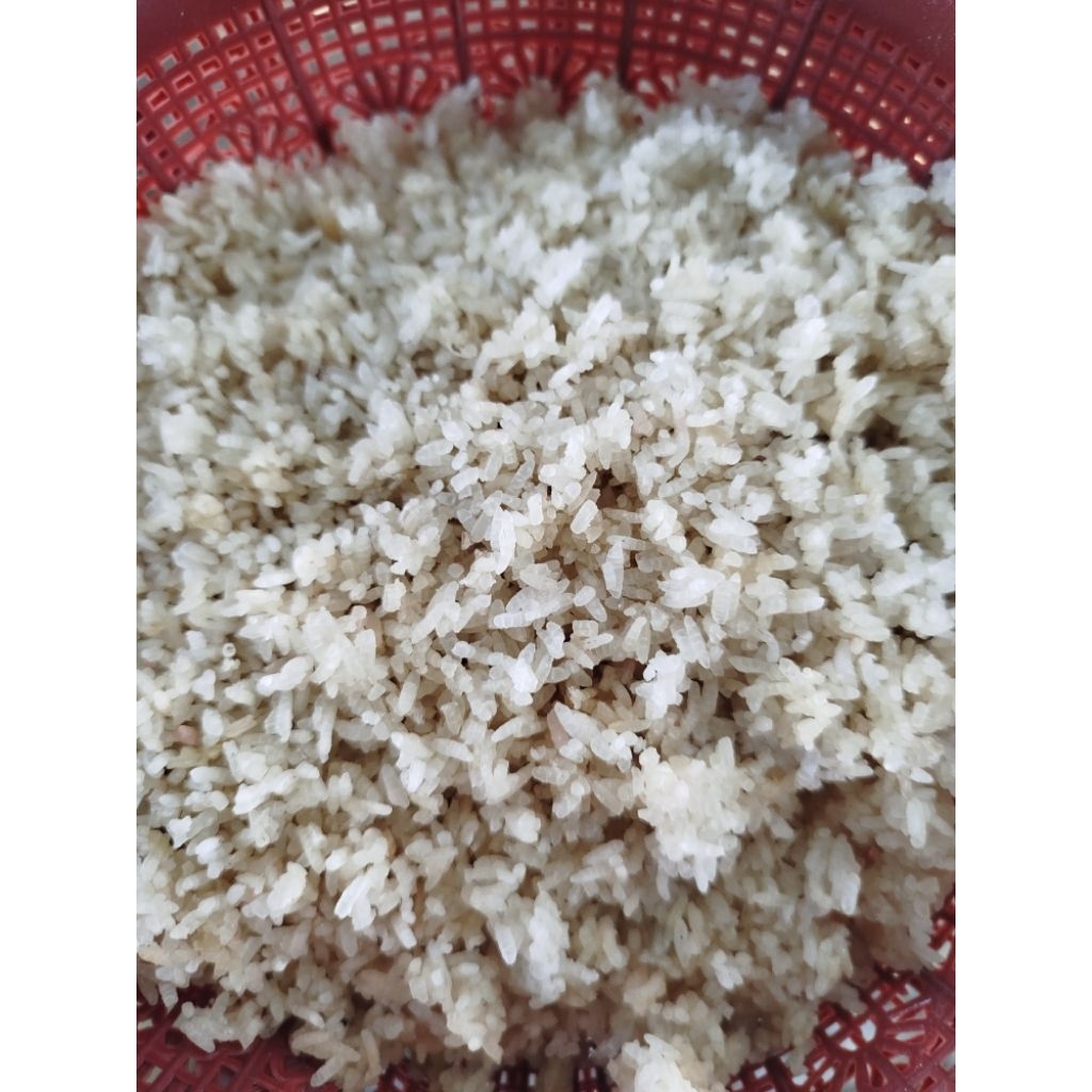 Nasi aking, nasi kering, loyang