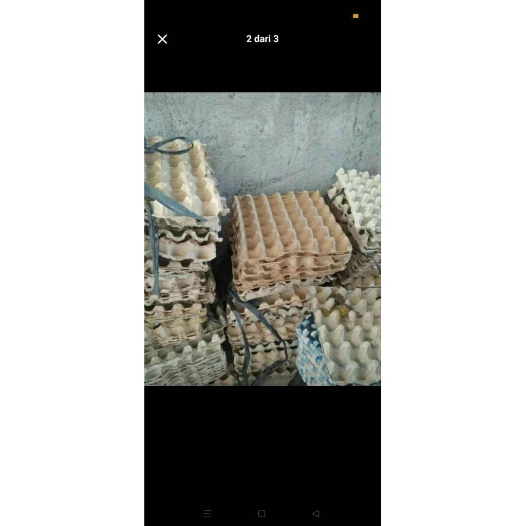 EGG TRAY BEKAS isi 30pcs