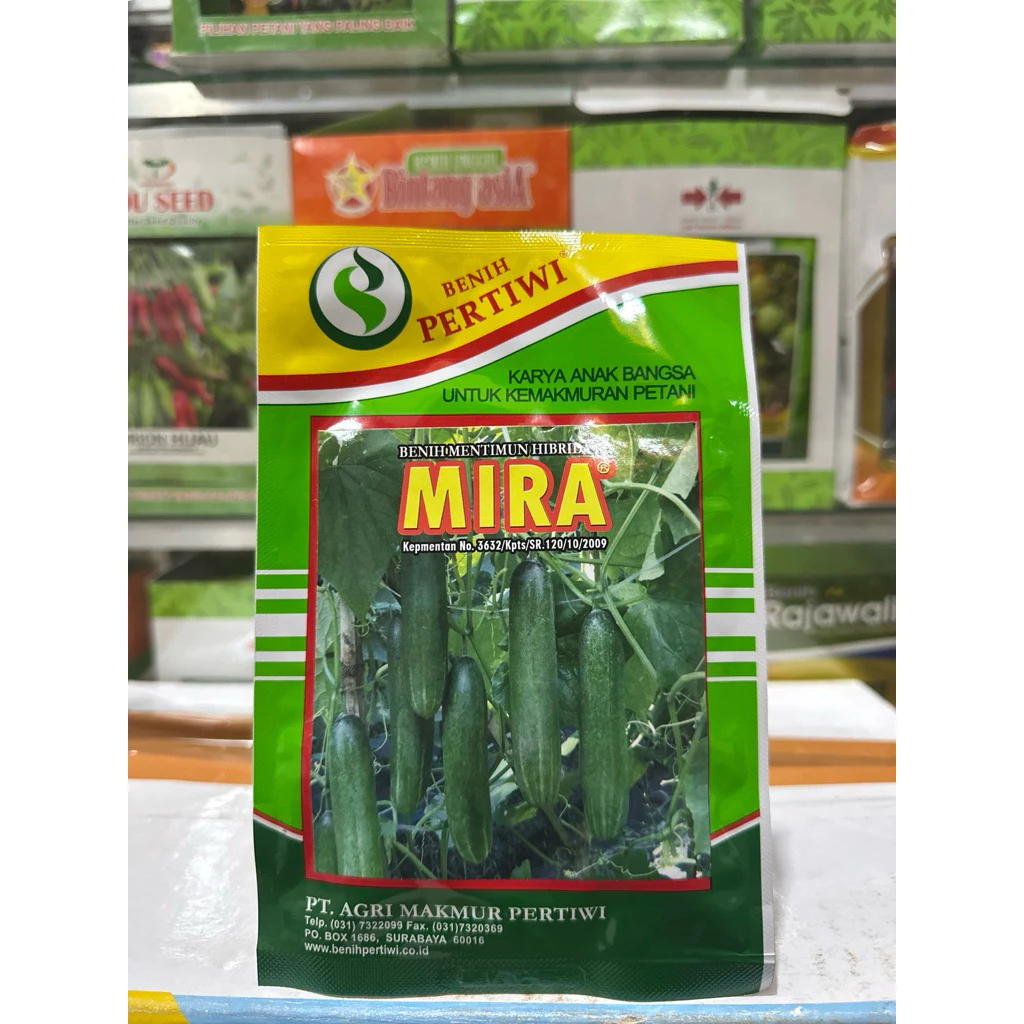 BENIH TIMUN MIRA 25gram dari BENIH PERTIWI - Mentimun Mira 25gram ORIGINAL