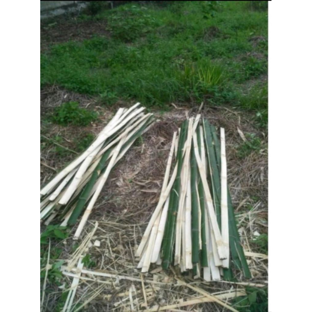 bilah bambu 150cm ajir tanaman
