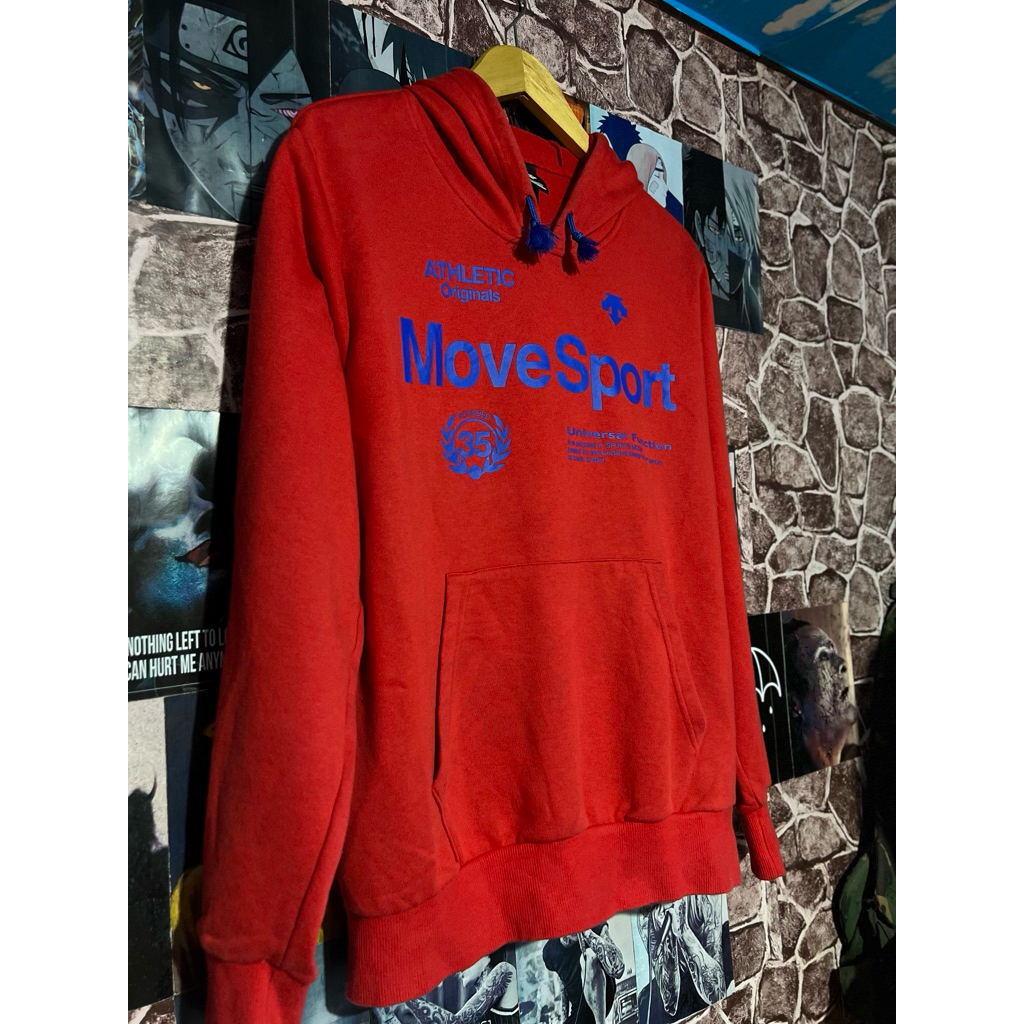 hoodie DESCENTE