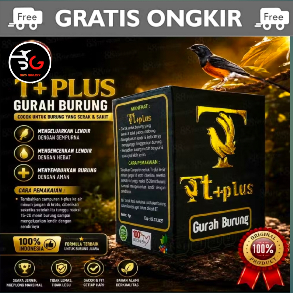 TT PLUS GURAH BURUNG  TT PLUS MURAI KICAU