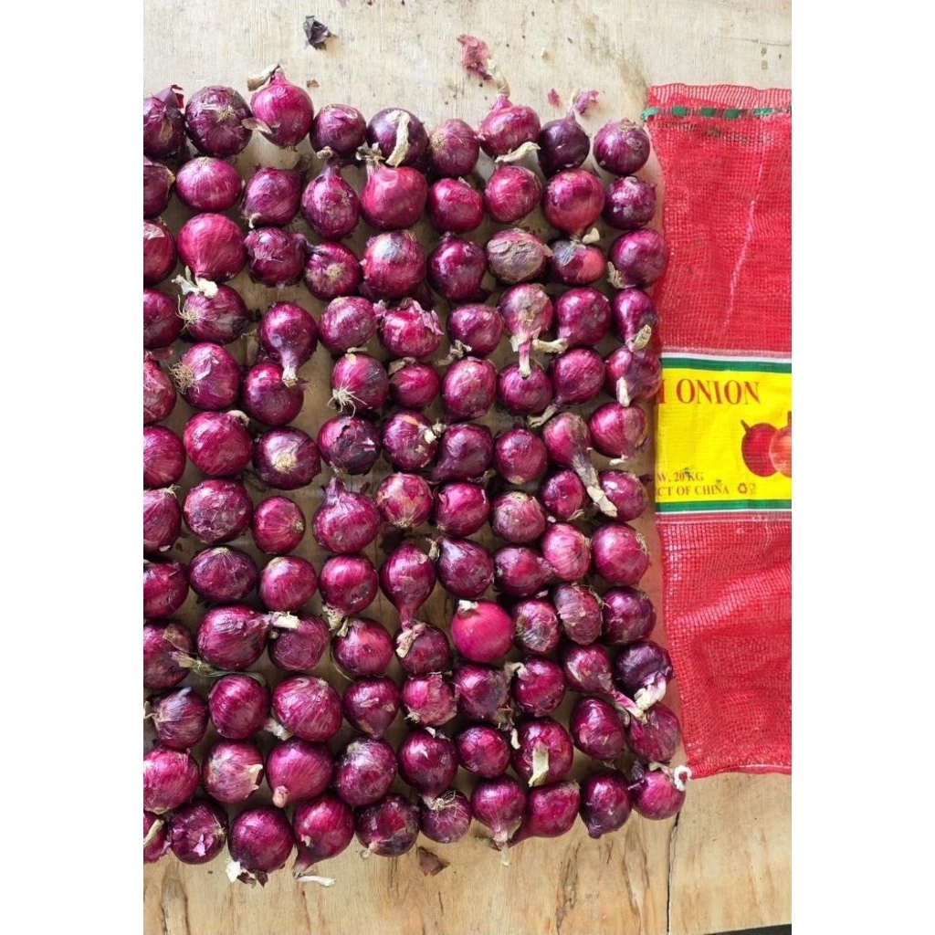 Bawang Bombay Merah Segar / Fresh