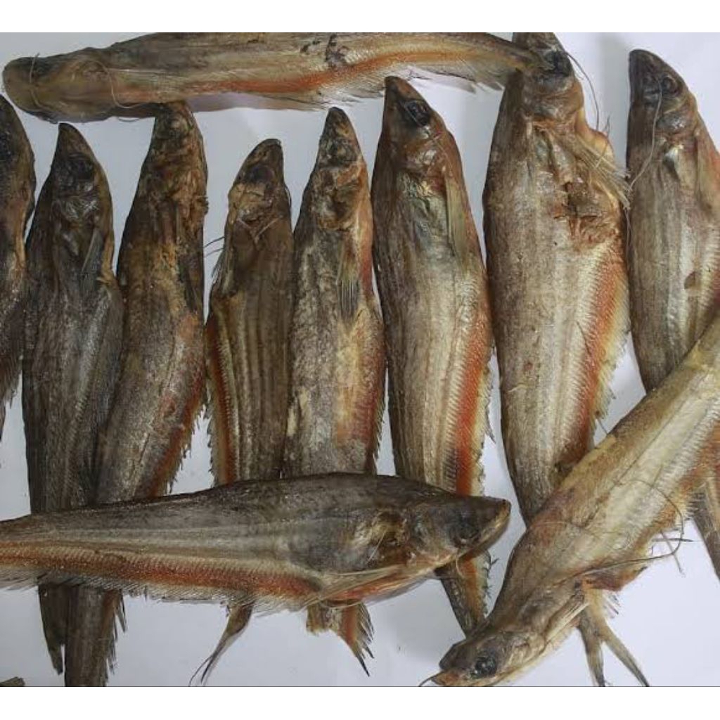 Ikan asin lais kalimantan 100gram/ ikan lais asin kalimantan 100gram