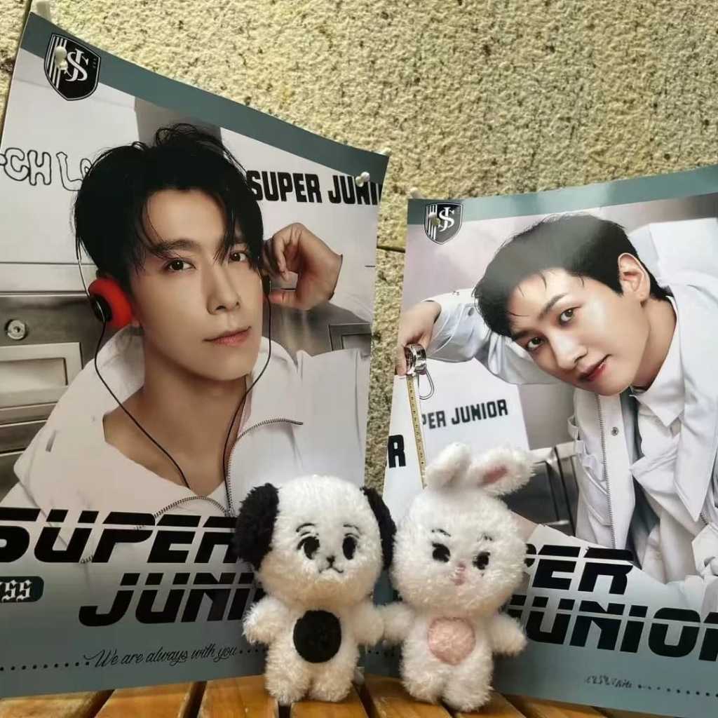 [PO] SU-JU Lee Donghae Doll