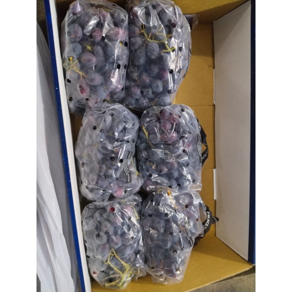 Buah Anggur Hitam 1dus 9kg +