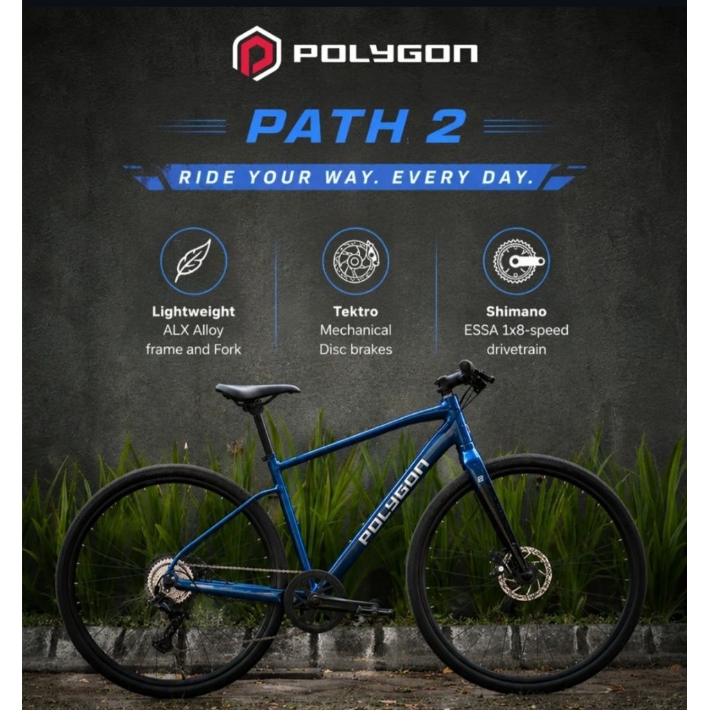 Polygon bike  PATH 2 700CX40c SZ S/M