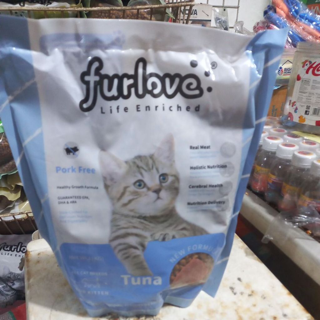 furlove cat kitten tuna