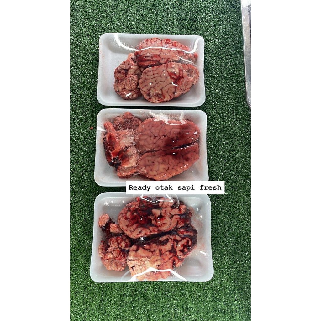 Otak Sapi Segar Lokal