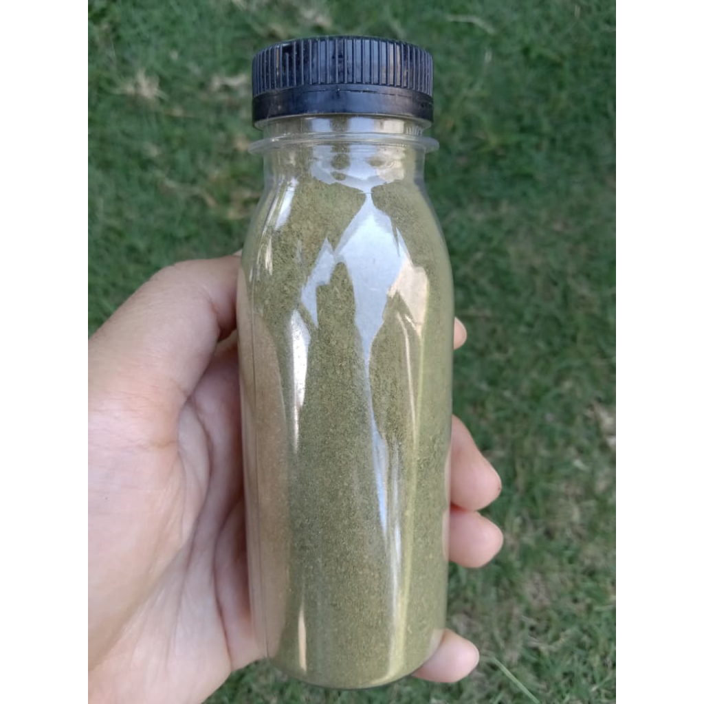 50 gram Bubuk Daun Melinjo / Serbuk Daun Tangkil / Tepung Daun Melinjo Alami 100% Organik