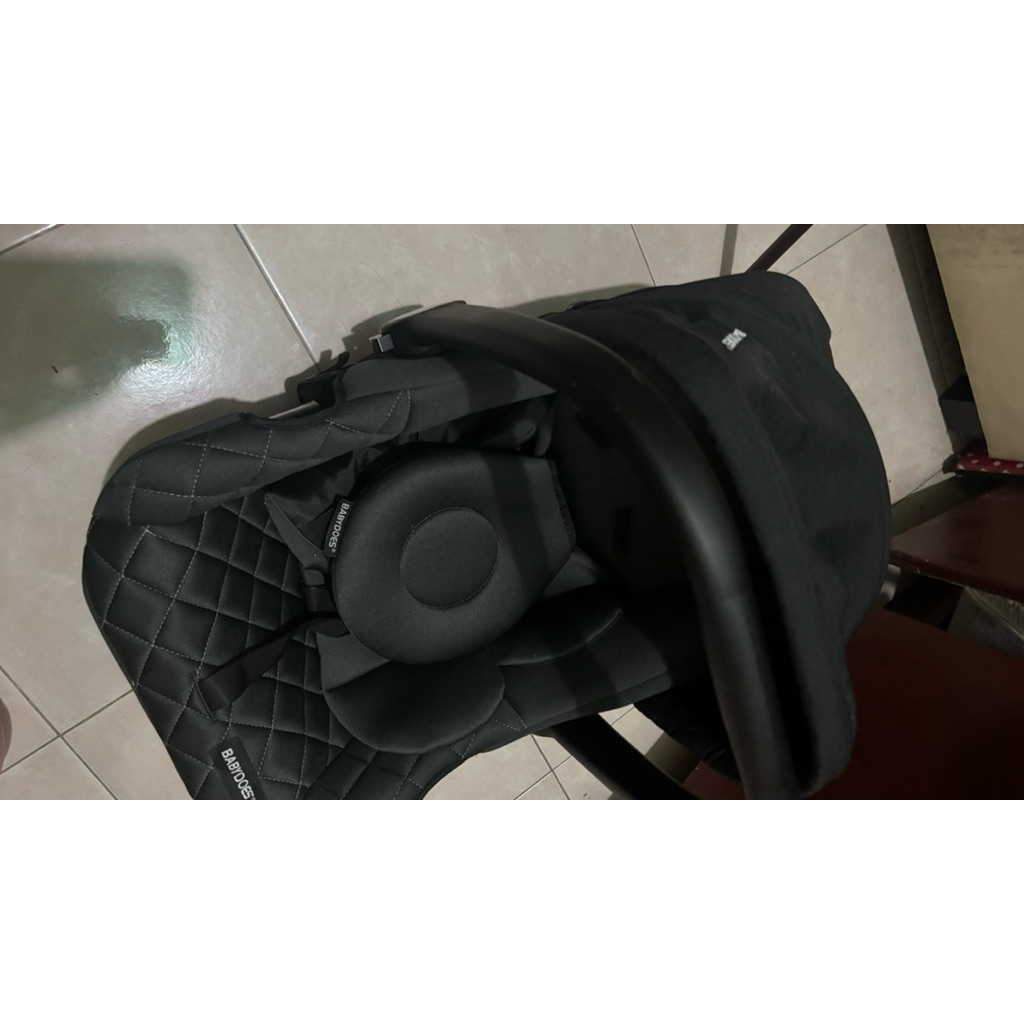 infant carrier babydoes