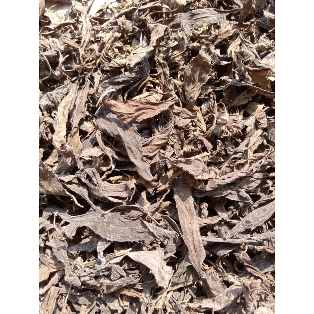 100 gram Daun Gandarusa Kering / Daun Genjik Kering / Daun Prasman Kering Alami