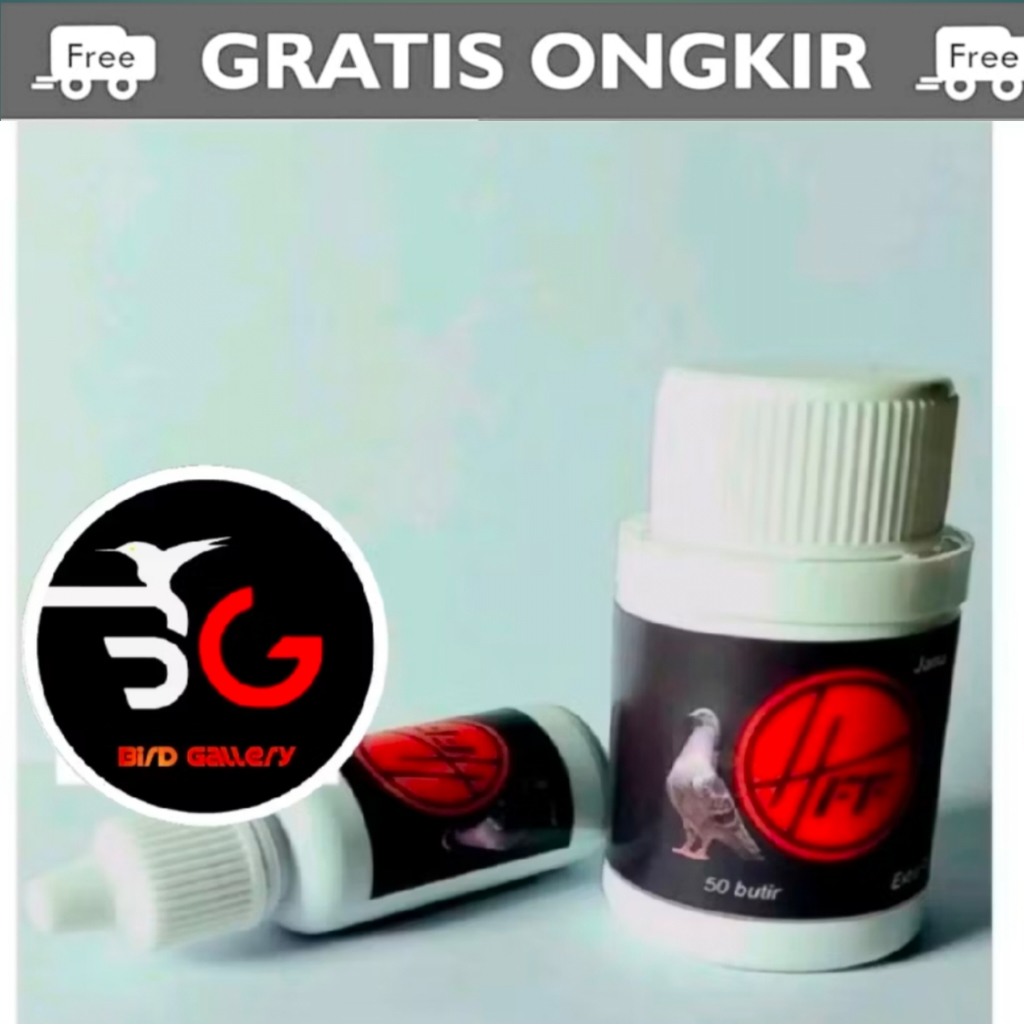 JAMU MERPATI HFF JAMU MERPATI MENAMBAH POWER DAN STAMINA MERPATI
