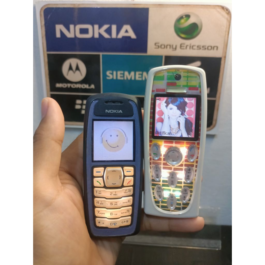 Nokia 3100