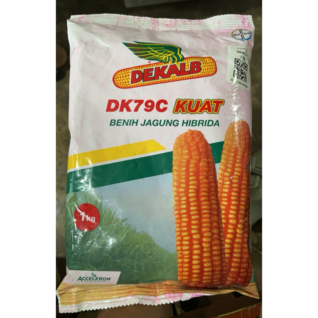 1kg Benih Jagung Hibrida DEKALB DK79C KUAT
