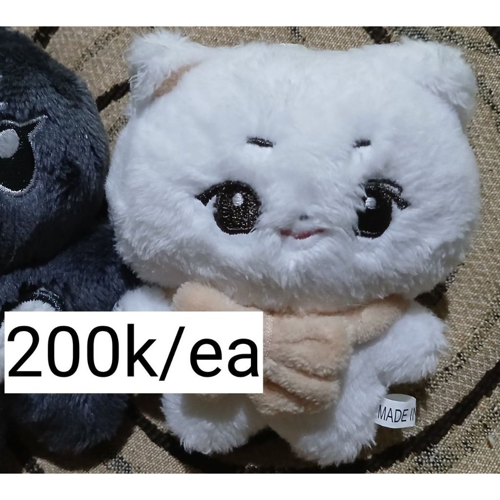 Hakkingkang Haknyeon Doll THE BOYZ