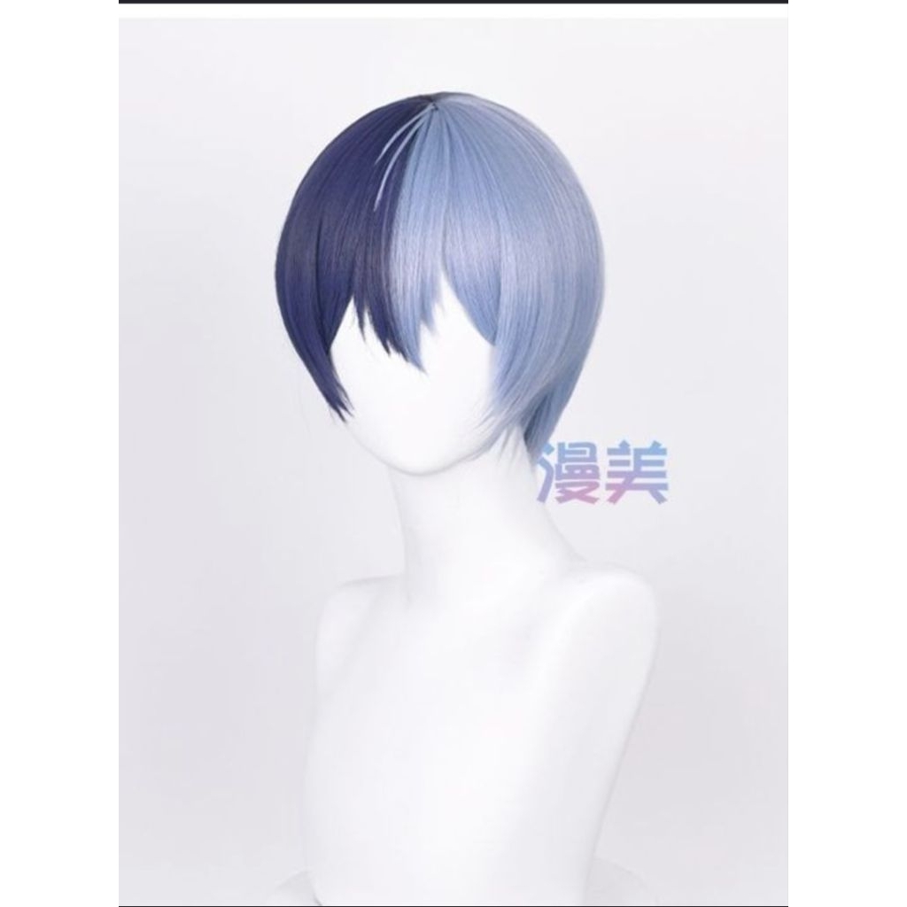 WTS Wig Toya Aoyagi