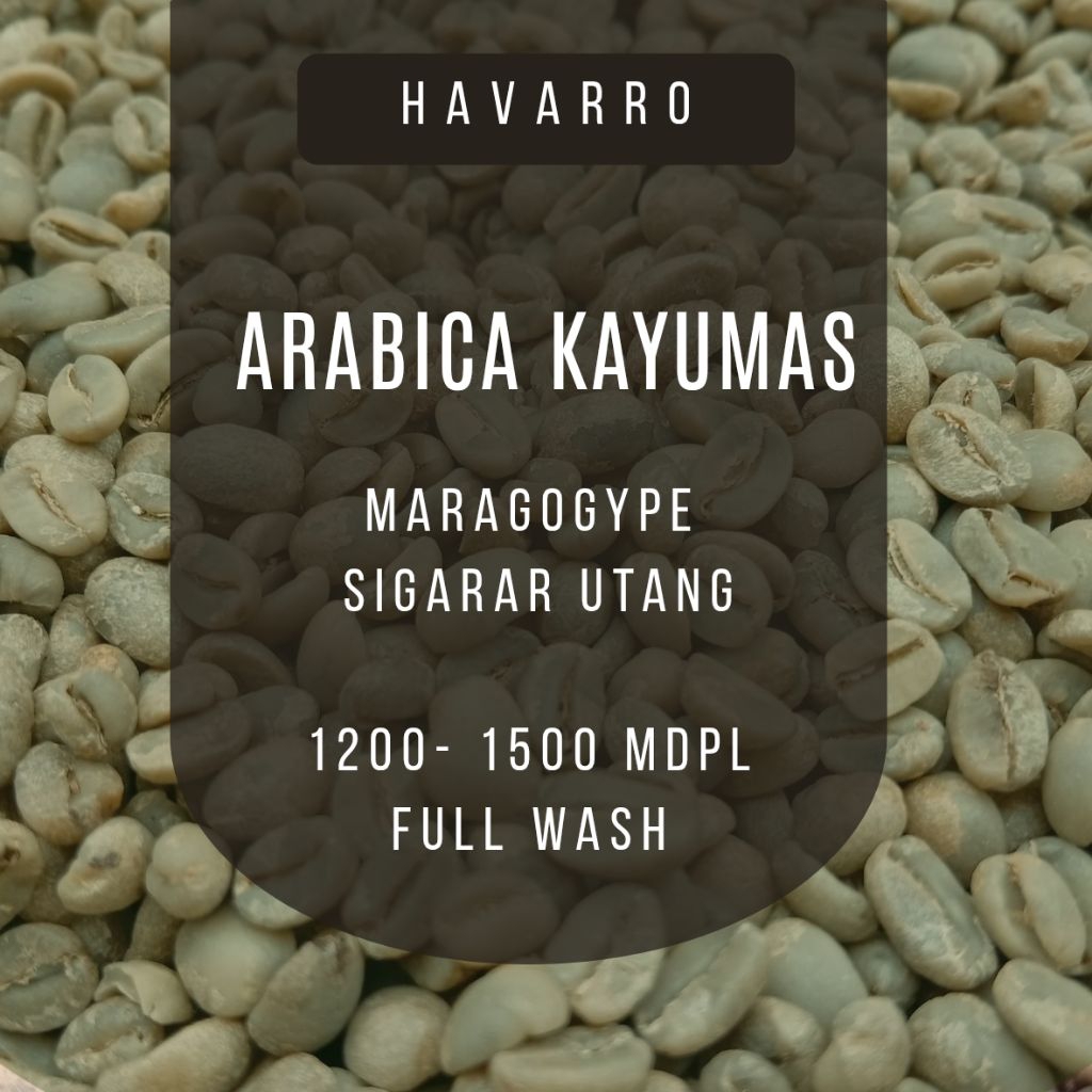 Green beans Arabica Kayumas - Ijen, Situbondo. Kopi Biji.