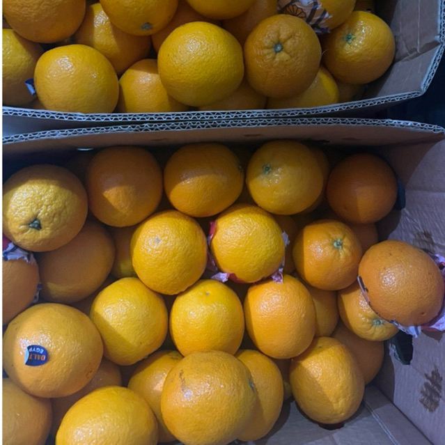 jeruk sunkist