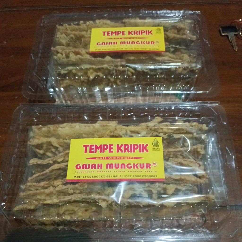 tempe kripik wonogiri