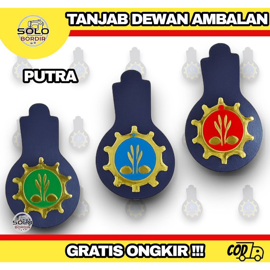 Tanjab Pramuka putra / Tanjab dewan ambalan putra