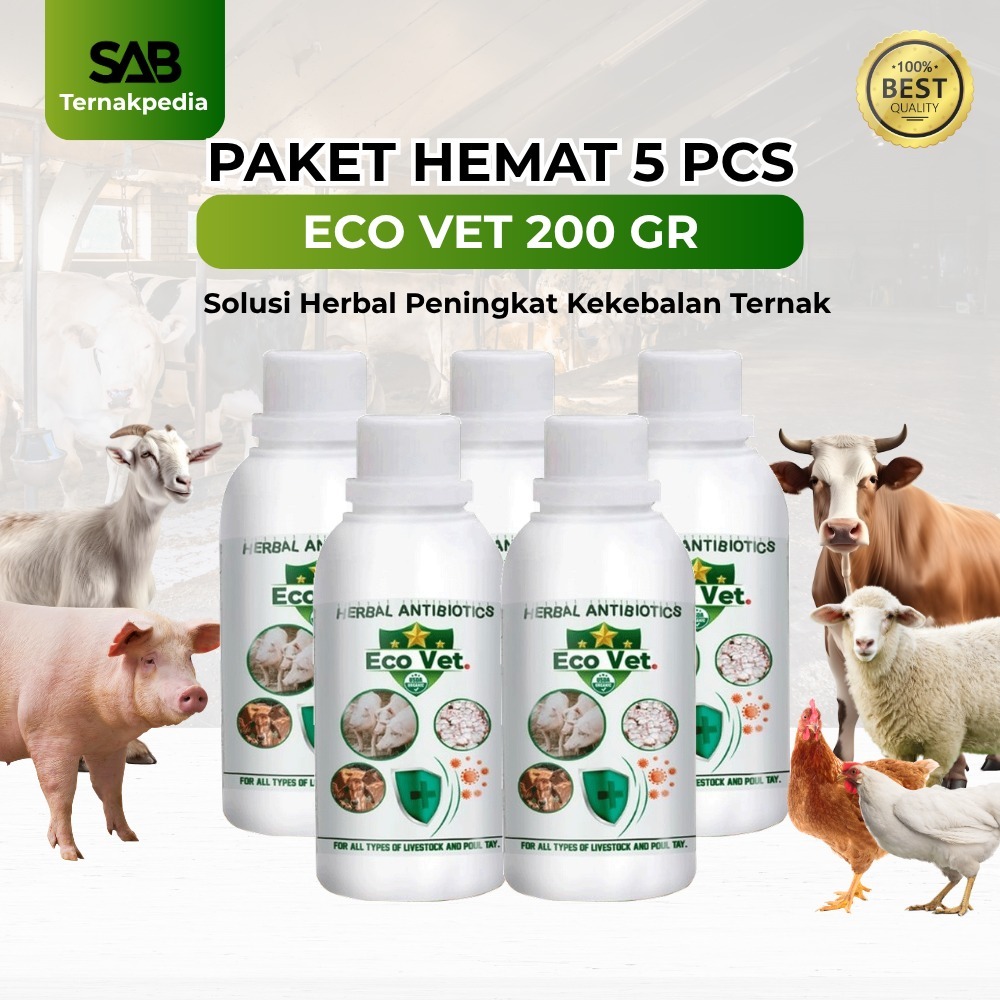 Antibiotik Herbal Sapi - Ecovet Sapi - Kambing - Domba - Ecovet Atibiotik Herbal
