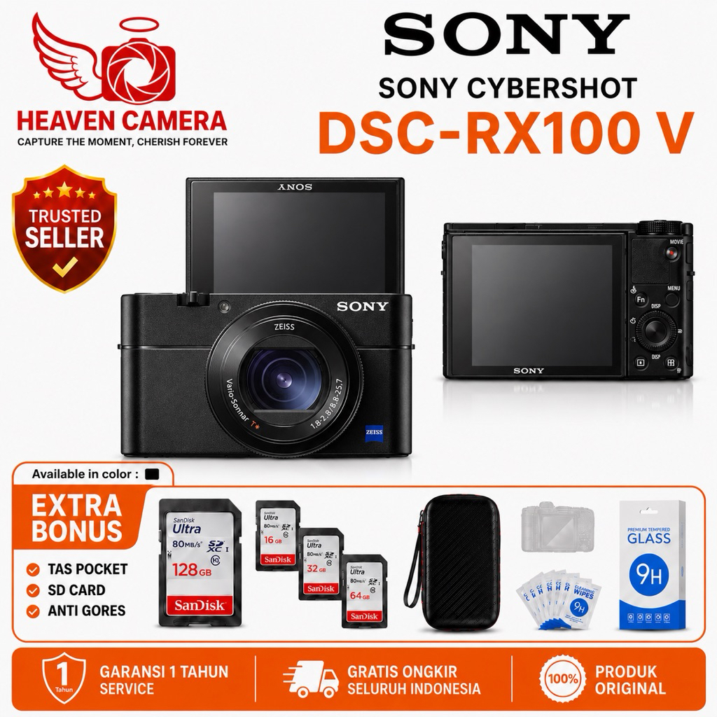 SONY CYBERSHOT DSC RX100 V / SONY DSC RX100 V / SONY RX100 V