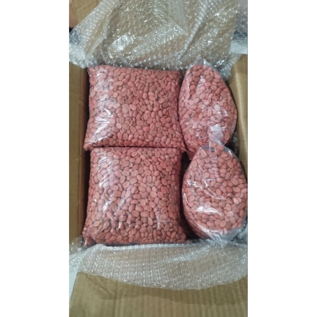 Bibit kopi arabica ateng super