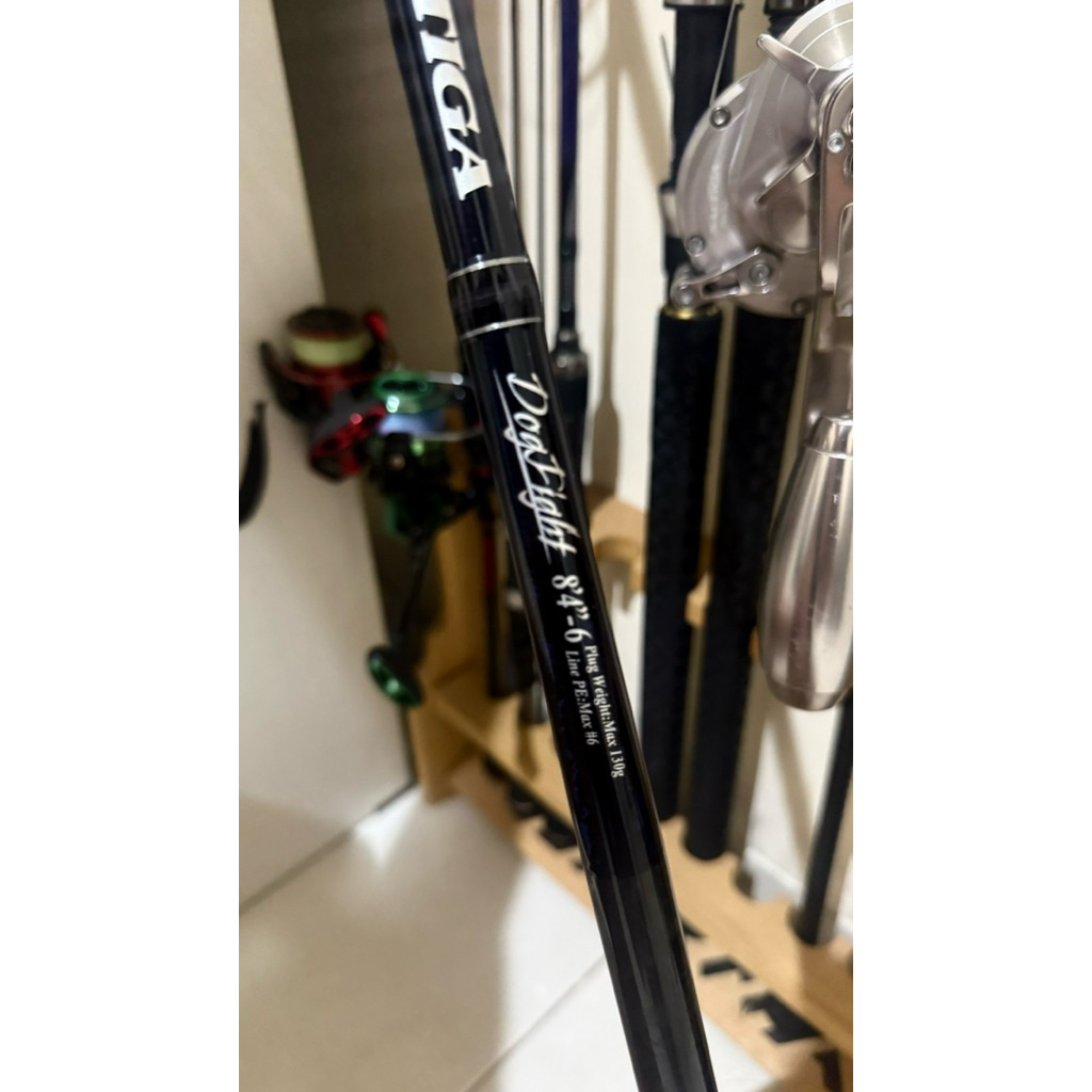 daiwa saltiga dogfight pe6