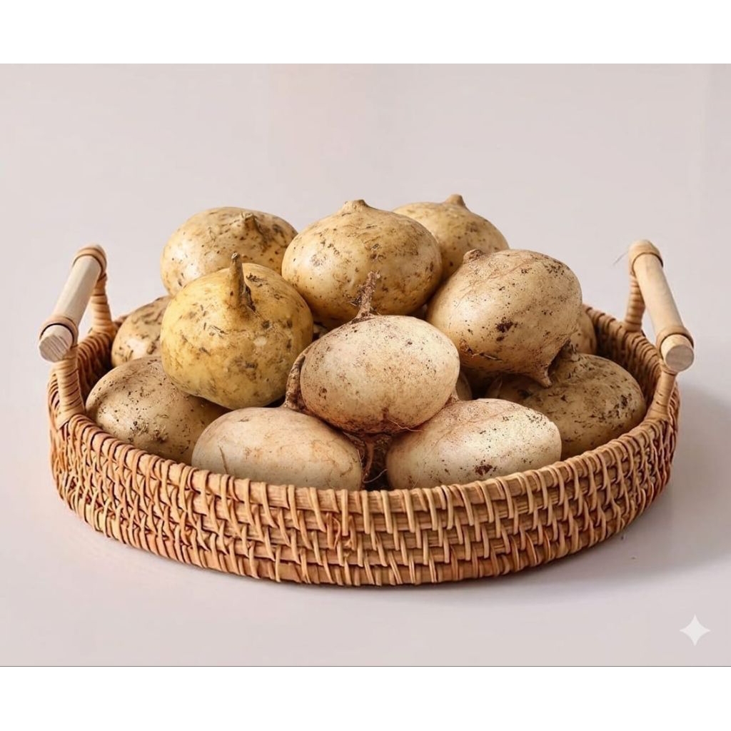 Bengkoang,buah bengkoang,buah segar