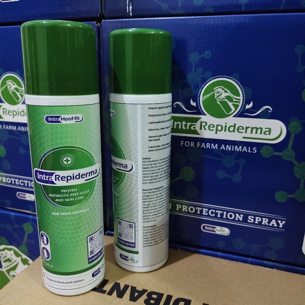 intra repiderma 250ml, 1 kaleng (obat luka hewan)
