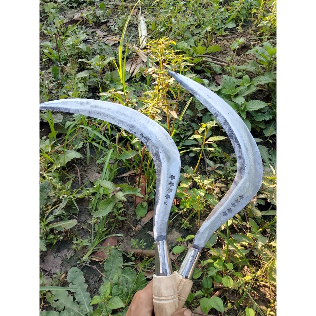sabit rumput super tajam