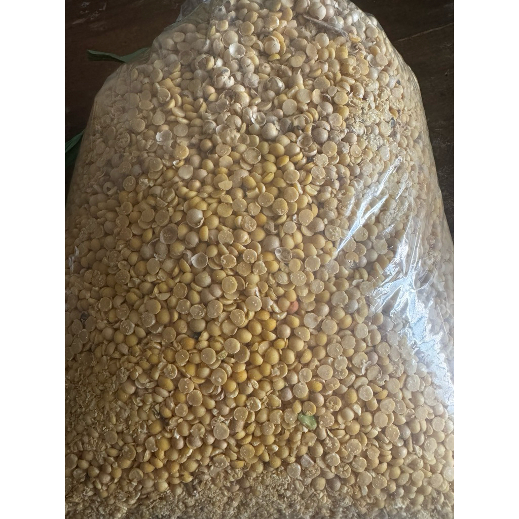 KEDELAI KUPAS 1 KG (KEDELAI AMERIKA)