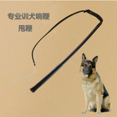Cambuk latihan anjing dari kulit, anjing Gembala Jerman, cambuk latihan