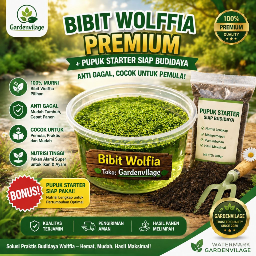 Bibit Wolffia (Media Air 1 Kg) + Pupuk Starter | Paket Lengkap Budidaya | Garansi 100%