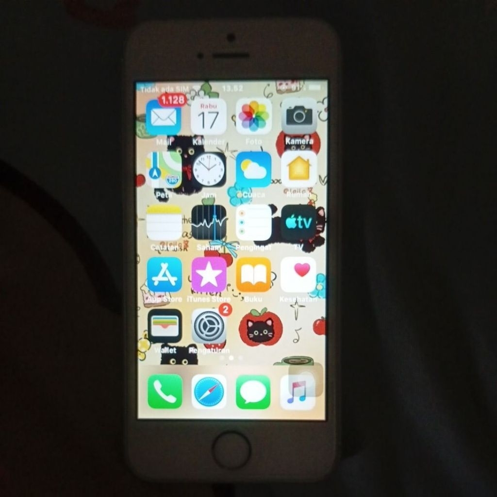 Iphone 5s WiFi Only