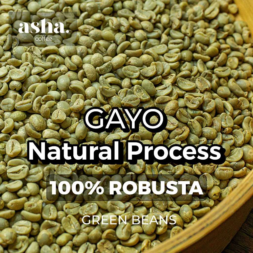 Green Bean ROBUSTA Gayo Aceh Natural Process 1 KG | Biji Kopi Hijau Premium | Specialty Coffee