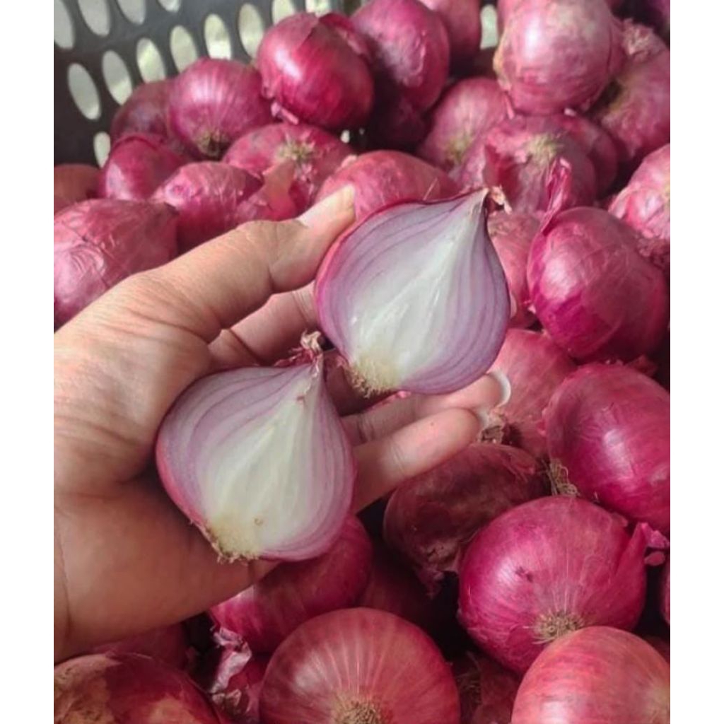 BAWANG INDIA