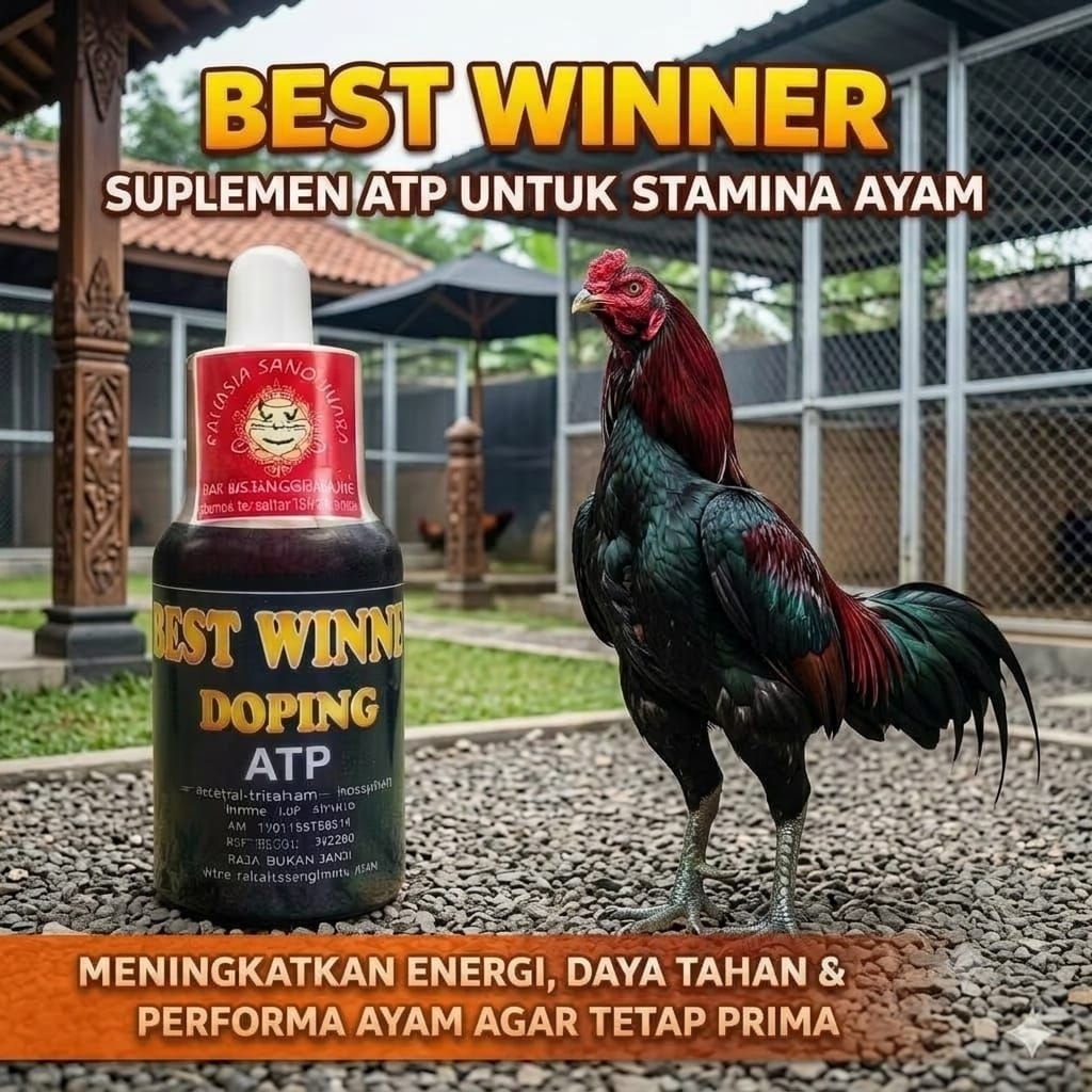 Best Winner Doping ATP Ayam Aduan 15ml - Amunisi Tambahan Untuk Ayam Petarung