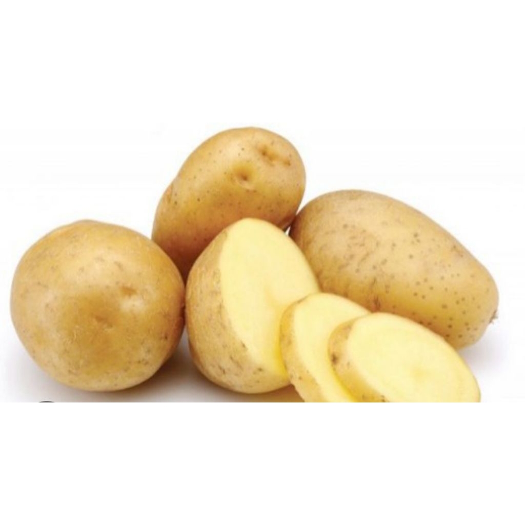 kentang 1kg