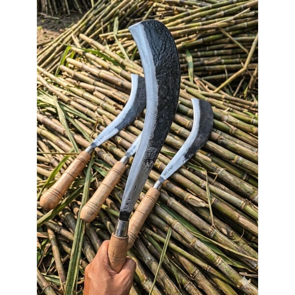 Sabit Tebu Arit Tebang Tebu Siap pakai